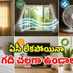 కరెంట్ బిల్లు రాదు.. ఏసీ అక్కర్లేదు.. ఈ 6 ట్రిక్స్‌తో మీ గది ‘కాశ్మీర్’ అయిపోద్ది!