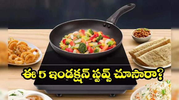 సిలిండర్ ఖర్చుకు బ్రేక్ వేయండి.. ఈ ఇండక్షన్ స్టవ్స్‌తో సేవింగ్స్ మొదలెట్టండి
