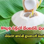కొబ్బరి బొండాం నుంచి నేరుగా నీళ్లు తాగుతున్నారా? నిపుణుల సీరియస్ వార్నింగ్!