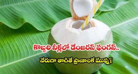 కొబ్బరి బొండాం నుంచి నేరుగా నీళ్లు తాగుతున్నారా? నిపుణుల సీరియస్ వార్నింగ్!