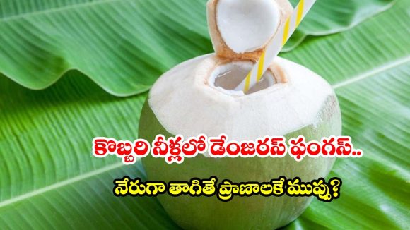 కొబ్బరి బొండాం నుంచి నేరుగా నీళ్లు తాగుతున్నారా? నిపుణుల సీరియస్ వార్నింగ్!