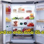 ఫ్రిజ్‌లో ఏ ఆహారాన్ని ఏ షెల్ఫ్‌లో పెట్టాలి? 99 % మంది చేసే పొరపాట్లు ఇవే !