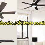 ఇల్లే ఏసీలా మారుతుంది! లివింగ్ రూమ్ కోసం.. తక్కువ ధరలో సీలింగ్ ఫ్యాన్లు