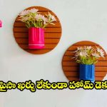 వేస్ట్ అనుకుంటున్నారా? ప్లాస్టిక్ బాటిళ్లతో మీ ఇంటికి అదిరిపోయే లుక్ తెచ్చేయండిలా!