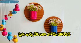 వేస్ట్ అనుకుంటున్నారా? ప్లాస్టిక్ బాటిళ్లతో మీ ఇంటికి అదిరిపోయే లుక్ తెచ్చేయండిలా!