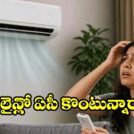 ఆన్‌లైన్‌లో ఏసీ కొంటున్నారా ? ఈ పొరపాట్లు అస్సలు చేయొద్దు