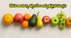 రూ.50లోపు వేసవి తాపాన్ని తగ్గించే.. 6 అద్భుతమైన పండ్లు!