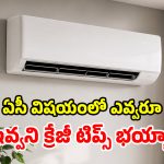 AC Buying Guide: ఎండ నేరుగా పడే పైఅంతస్తులకు.. ఎలాంటి ఏసీ కొంటే బెస్ట్.. సూటిగా సూత్తి లేకుండా..!