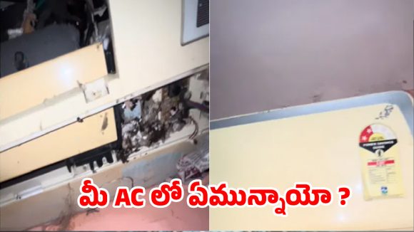 కూలింగ్ రావట్లేదని ఏసీ ఓపెన్ చేస్తే.. లోపల సీన్ చూసి టెక్నీషియన్ మైండ్ బ్లాక్!