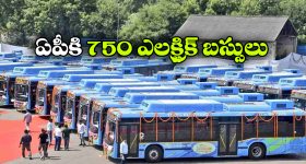Anshu Reddy : పచ్చని చేనులో లంగావోణిలో అన్షు.. సొగసు చూడతరమా..