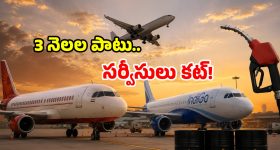 మొక్కలకు రోజుకు ఎన్నిసార్లు, ఏ సమయంలో నీళ్లు పోయాలి? అసలు నియమాలు ఇవే!