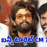 అల్లు అర్జున్ పొలిటికల్ ఎంట్రీ? అచ్చం విజయ్ లాగే .. టార్గెట్ 2034?