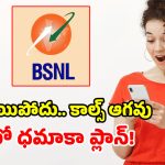BSNL కొత్త ప్లాన్ చూశారా? రూ.225 చెల్లిస్తే చాలు.. నెలంతా ఇక జాతరే!