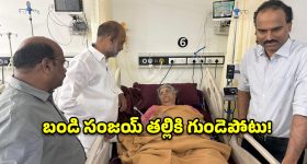 ఇప్ప పువ్వు ప్రాజెక్ట్ అమలుకు యాక్షన్ ప్లాన్.. మంత్రుల సమీక్షలో కీలక నిర్ణయాలు!
