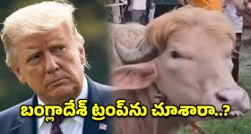 బండి సంజయ్‌ టార్గెట్‌గా కేటీఆర్ తీవ్ర వ్యాఖ్యలు.. కేంద్రమంత్రి పదవి ఊడాల్సిందే!