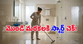 జ్యోతిష్యాలు.. జాత‌కాలు.. యాగాలు.. వీటి ప‌ట్ల మ‌న కేసీఆర్‌కూ భ‌లే గురండోయ్‌..!