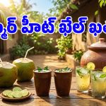 ఈ పిచ్చి ఎండలకు వడదెబ్బ తగలకూడదంటే.. ఈ నాచురల్ డ్రింక్స్ తాగాల్సిందే!