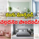 ఏసీలు, కూలర్లు అక్కర్లేదు.. ఈ 5 రంగులు వేస్తే.. ఇల్లు ఊటీ అయిపోద్ది!