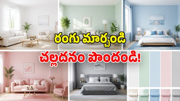 ఏసీలు, కూలర్లు అక్కర్లేదు.. ఈ 5 రంగులు వేస్తే.. ఇల్లు ఊటీ అయిపోద్ది!