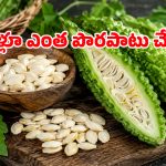కాకరకాయ గింజలను పారేస్తున్నారా? ఈ హెల్త్ సీక్రెట్స్ తెలిస్తే కళ్లకు అద్దుకుని తింటారు!