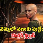విమానం హైజాకింగ్‌తో మొదలై రక్త పిశాచిగా టర్న్… నెవర్ బిఫోర్ కథ మావా