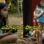 అన్నయ్య జ్ఞాపకాలతో చెల్లెలు ప్రయాణం… ఫ్యామిలీ ఆడియన్స్ ను కన్నీళ్లు పెట్టిస్తున్న సినిమా