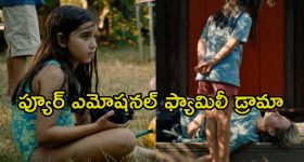 అన్నయ్య జ్ఞాపకాలతో చెల్లెలు ప్రయాణం... ఫ్యామిలీ ఆడియన్స్ ను కన్నీళ్లు పెట్టిస్తున్న సినిమా