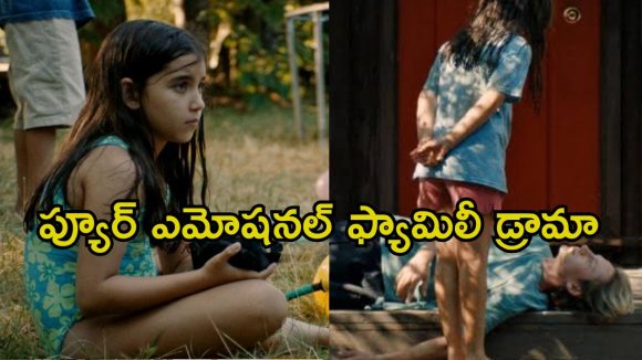 అన్నయ్య జ్ఞాపకాలతో చెల్లెలు ప్రయాణం… ఫ్యామిలీ ఆడియన్స్ ను కన్నీళ్లు పెట్టిస్తున్న సినిమా