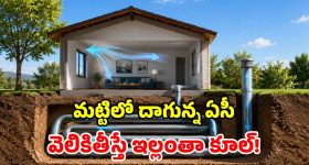 Peddi Movie : రిలీజ్ కు ముందే 'పెద్ది' నయా రికార్డు.. ఓవర్సీస్ లో ఊచకోత..