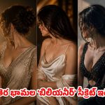 అంతర్జాతీయ క్లయింట్లు.. కళ్లు చెదిరే ఆస్తులు
