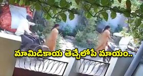 జెట్ స్పీడ్‌లో ఓటీటీలోకి వచ్చేస్తున్న ‘జెట్లీ’.. స్ట్రీమింగ్ ఎప్పుడంటే?