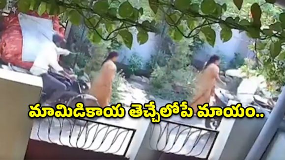 అయ్యో పాపం.. మామిడికాయ కోసం వెళ్తే.. బంగారు గొలుసు చోరీ