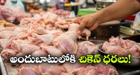 మళ్లీ పెరగనున్న పెట్రో ధరలు.. వామ్మో.. ఈసారి చుక్కలే!