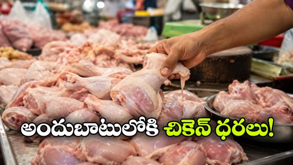 చికెన్ ప్రియులకు గుడ్ న్యూస్, భారీగా తగ్గిన ధరలు!