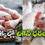 మండుతున్న చికెన్ ధరలు.. కిలో రూ.360 దాటిన స్కిన్‌ లెస్ చికెన్!