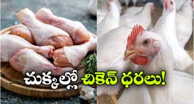 ఏపీకి పారిశ్రామిక కళ.. సింగపూర్ దిగ్గజాలతో లోకేష్ భేటీ.. ప్రవాసాంధ్రుల ఘన స్వాగతం!