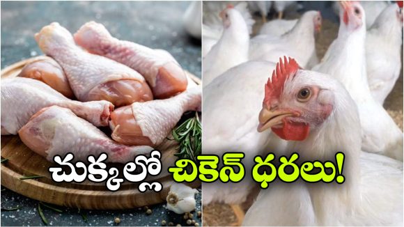 మండుతున్న చికెన్ ధరలు.. కిలో రూ.360 దాటిన స్కిన్‌ లెస్ చికెన్!