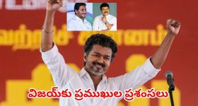తమిళనాడులో విజయ్ ప్రభంజనం.. దళపతికి చిరు, జగన్ ప్రత్యేక అభినందనలు