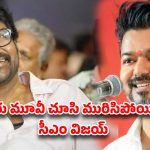 చిరంజీవి-విజయ్ ఫోన్ కాల్..  ఆ ఒక్క మాటతో కోలీవుడ్‌లో పెరిగిన జోష్!