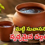 ఫ్రిడ్జ్ అక్కర్లేదు.. కానీ నీళ్లు ఐస్‌లా చల్లబడతాయ్.. 3,000 ఏళ్ల నాటి అద్భుత టెక్నిక్!