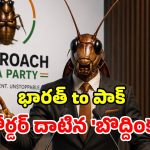 భారత్‌లో పుట్టి.. పాక్‌లో ల్యాండ్ అయిన ‘బొద్దింకల విప్లవం’.. నెట్టింట రచ్చ రచ్చ!