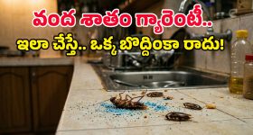 ఓటమి తర్వాత సీఎం పదవికి రాజీనామా చేయనని మొండికేస్తే ఏమవుతుంది? రూల్స్ ఏం చెబుతున్నాయ్?
