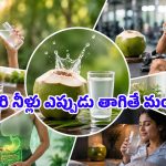 బరువు తగ్గడానికి, ఇమ్యూనిటీ పెరగడానికి కొబ్బరి నీళ్లు తాగే సరైన సమయం ఇదే!