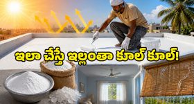 ఎన్నికల్లో సత్తా చాటిన విజయ్.. జననాయగన్ పై పెరిగిన అంచనాలు..