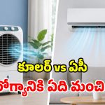 AC vs Cooler: కూలింగ్ పరంగా కాదు.. ఆరోగ్యం పరంగా.. రెండింట్లో ఏది బెస్ట్?