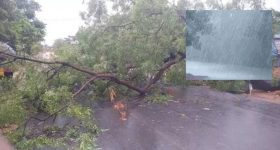 ఒక్కసారి చూస్తే జన్మలో మర్చిపోలేని సైన్స్ ఫిక్షన్ సినిమాలు... డోంట్ మిస్