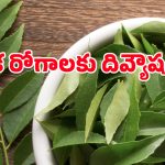 రోజూ ఉదయాన్నే కరివేపాకు నమిలితే జరిగే అద్భుతం ఇదే!