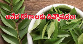 బంఫర్ ఆఫర్ పట్టేసిన మమిత.. ఆ డైరెక్టర్ మూవీలో ఛాన్స్..