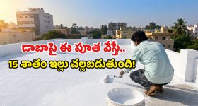 రూ.30 వేల ఏసీ ఎందుకు దండగ.. జస్ట్ రూ.800తో 45°C ఎండలోనూ ఇంటి వేడిని 15% తగ్గించుకోండి!