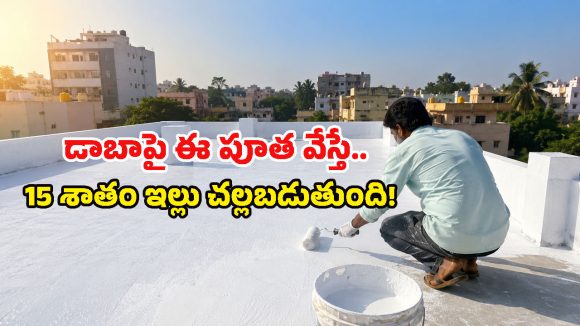 రూ.30 వేల ఏసీ ఎందుకు దండగ.. జస్ట్ రూ.800తో 45°C ఎండలోనూ ఇంటి వేడిని 15% తగ్గించుకోండి!
